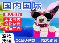 济宁大安空运公司国际宠物托运 【国